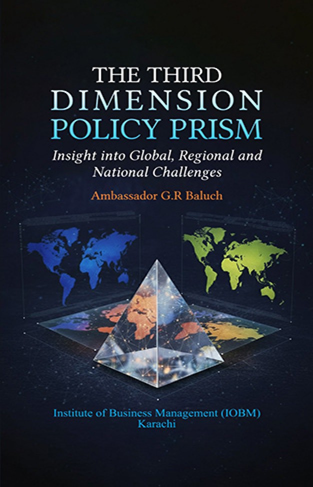 The Third Dimension Policy Prism